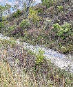 Dry creek bed to feed the watrefall.